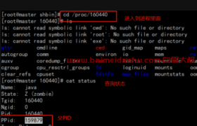 linux  proc  进程文件系统 （linux 进程）